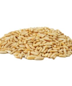 Pine Nut Kernels