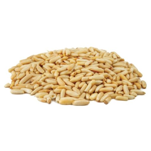 Pine Nut Kernels