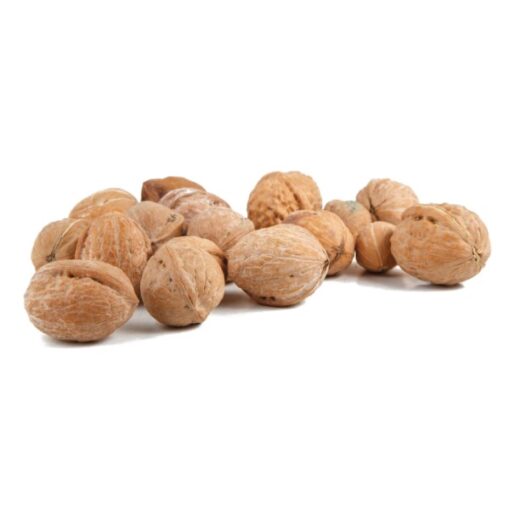 Walnuts in Shell